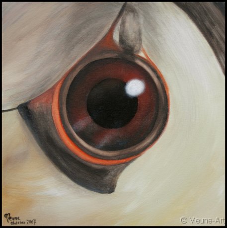 Augenblick eines Haubentauchers Acryl auf Leinwand;
30 x 30 cm